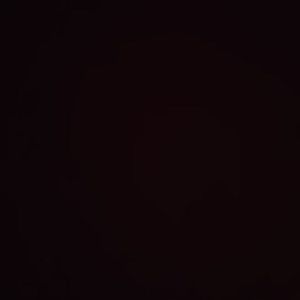 Meet your Posher, Tasha